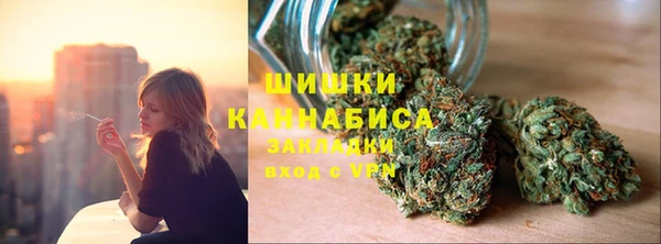 прущие грибы Аркадак