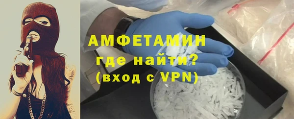 прущие грибы Аркадак