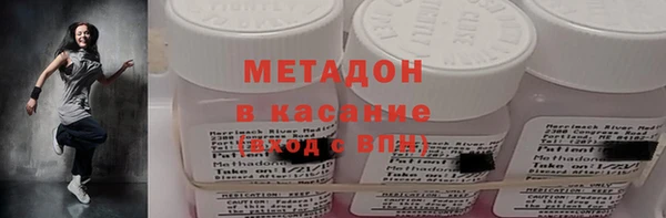 прущие грибы Аркадак