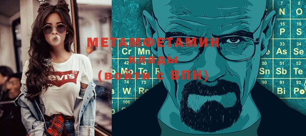 прущие грибы Аркадак