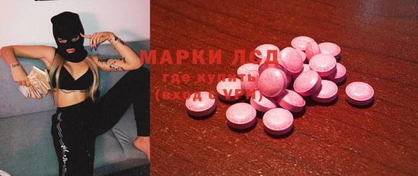 прущие грибы Аркадак