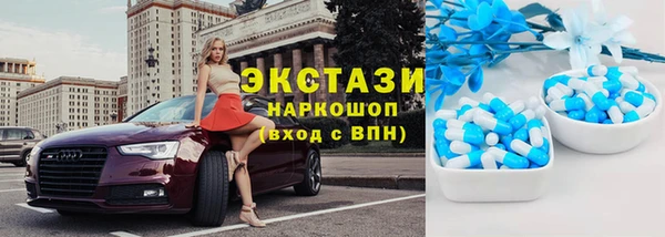 прущие грибы Аркадак