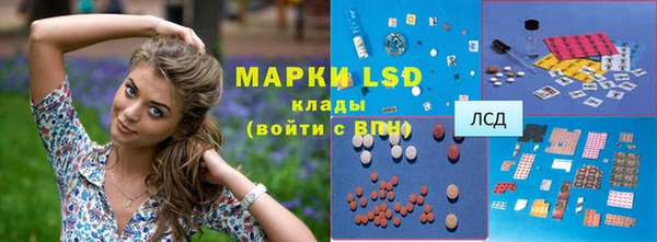 прущие грибы Аркадак