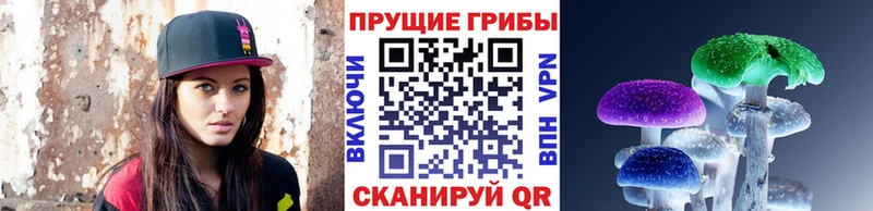 это как зайти Павловск Псилоцибиновые грибы Magic Shrooms